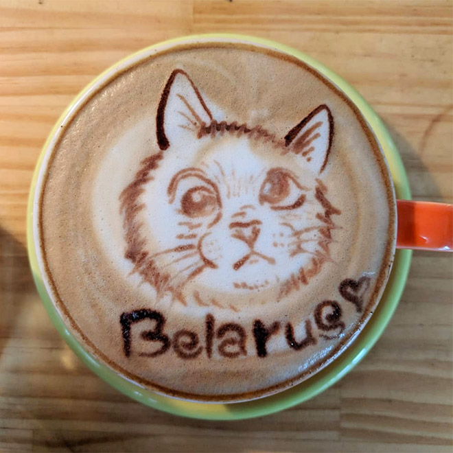 Meet Belarus: an adorable cross-eyed cat.