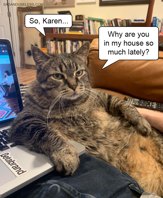 So, Karen... Why are you in my house so much lately?