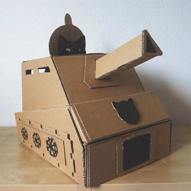 Cats have started building an army!