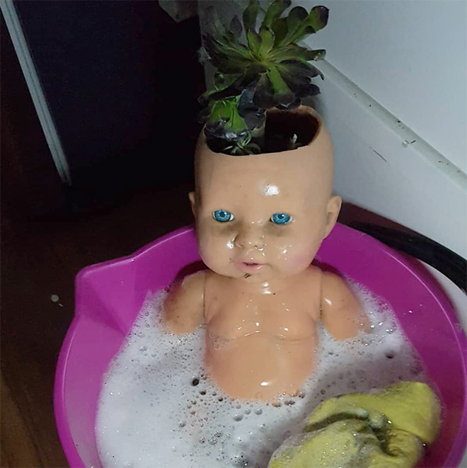 Doll head planters is the creepiest thing ever.