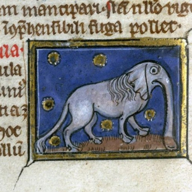 medieval-elephants2.jpg