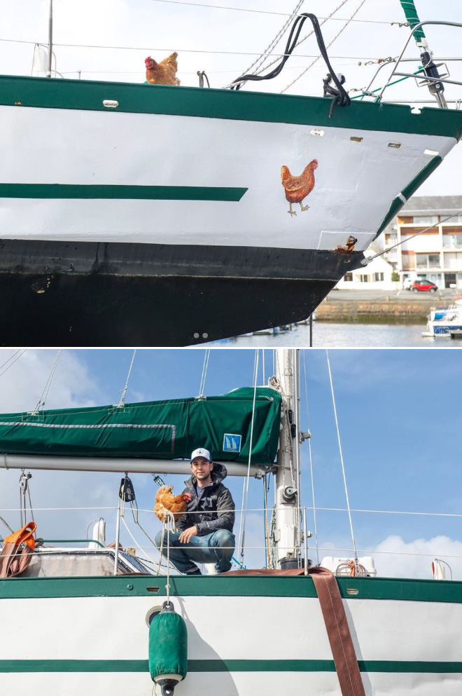 This guy sails around the world with his pet chicken.