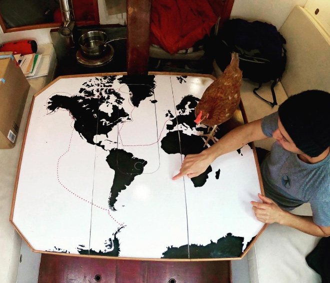 This guy sails around the world with his pet chicken.