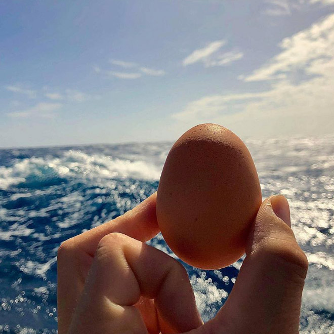 This guy sails around the world with his pet chicken.