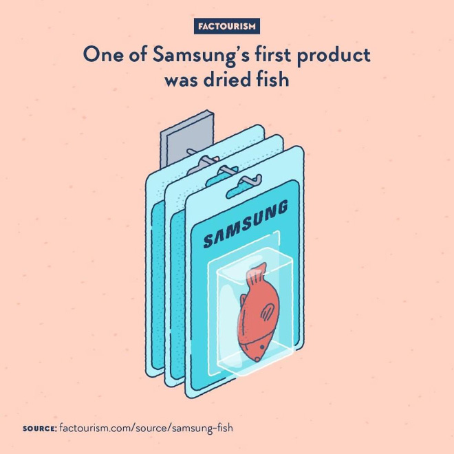 From 1938, when it was founded by Byung-Chull Lee in Taegu, Korea, to 1969, when it started making TV sets, the Samsung company was not dealing with electronics. Instead, it started as a food exporter, shipping products such as dried fish and flour to China, then tried out other activities like life insurance and textiles.