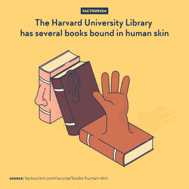 Anthropodermic bibliopegy. That is the proper name for binding books with human leather rather than another animal's. A morbid practice that was occasionally done in the 19th century and earlier. Some of the resulting books are now conserved in the Harvard Library at Harvard University.⁠