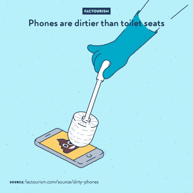 Most people don't clean their phone and most people touch about 3,000 times a day. That's a lot less cleaning and a lot more touching than what happens to a toilet seat or flush. A study found a higher amount of bacteria, yeast and mould on phones than on toilets. Keyboards, mice and trackpads are also concerned.⁠