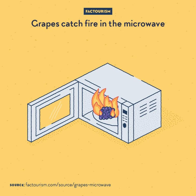 When grapes are put in a microwave oven, especially when cut in two, their shape and material refract the waves in a way that eventually ionise the sodium and potassium content of the fruit and create plasma that ignites and takes fire.