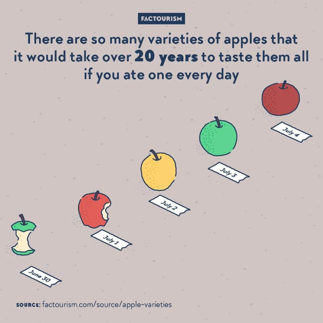 We know more than 7,500 cultivars of apples. Some are good for eating, others are better for cider, jelly, or ornamentation, certain are quite old and not fit for mass production.