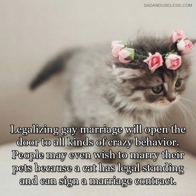 Legalizing gay marriage will open the door to all kinds of crazy behavior. People may even wish to marry their pets because a cat has legal standing and can sign a marriage contract.