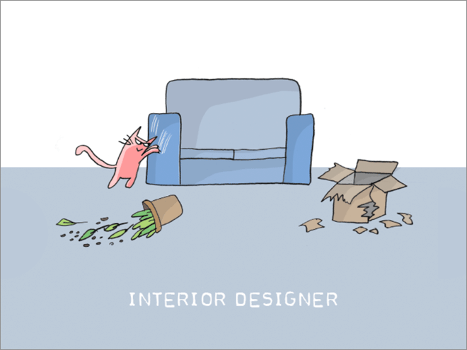 Interior designer.
