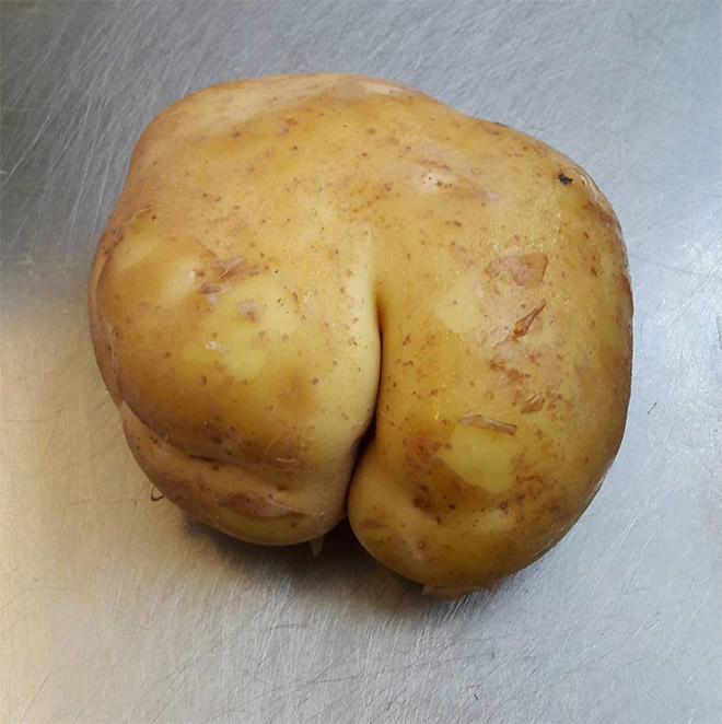 Potato butt.