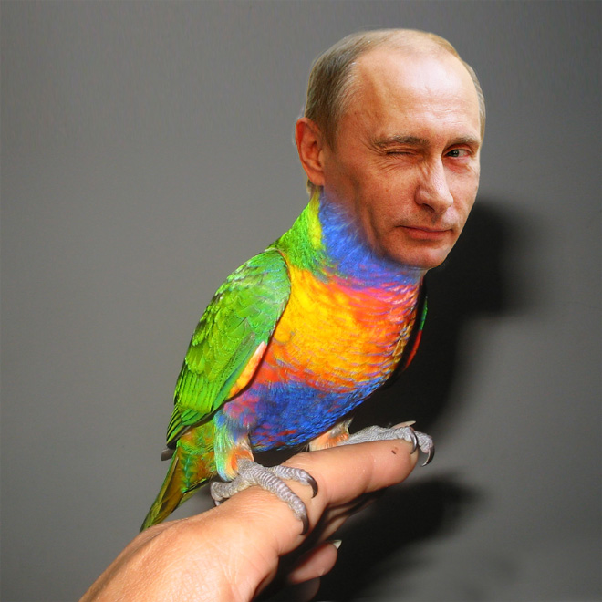 Rainbow Putin supports gay rights.