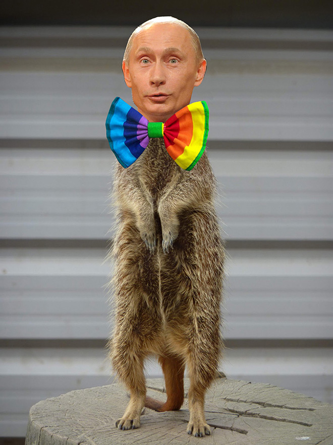 Rainbow Putin supports gay rights.