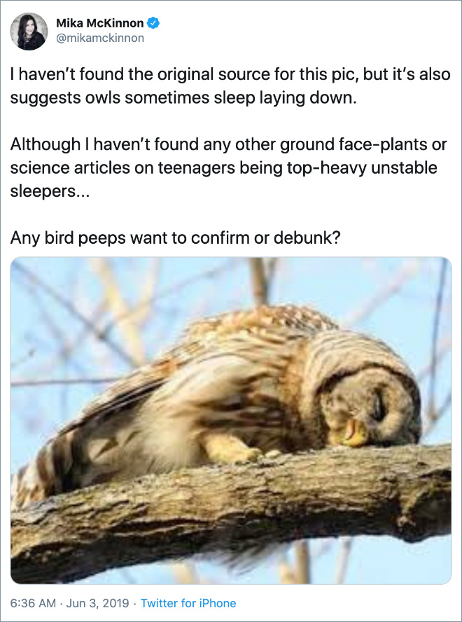 I haven't found the original source for this pic, but it's also suggests owls sometimes sleep laying down. Although I haven’t found any other ground face-plants or science articles on teenagers being top-heavy unstable sleepers... Any bird peeps want to confirm or debunk?
