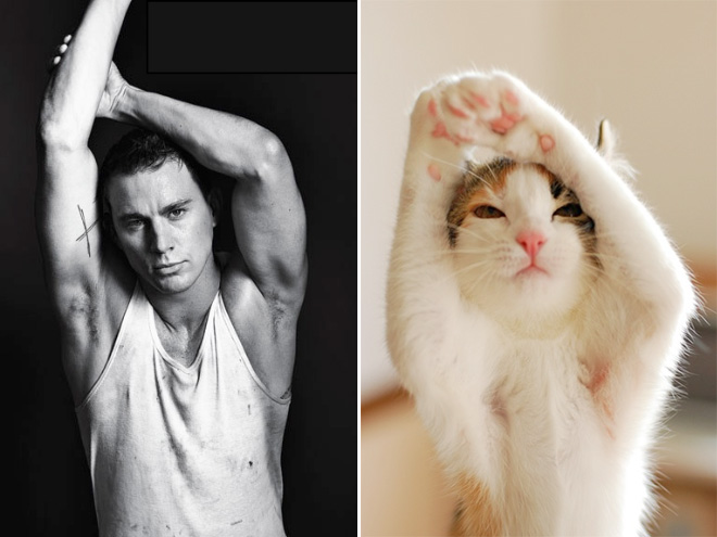 Who is a better model?