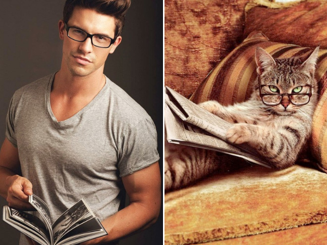 Cats That Look Like Male Models