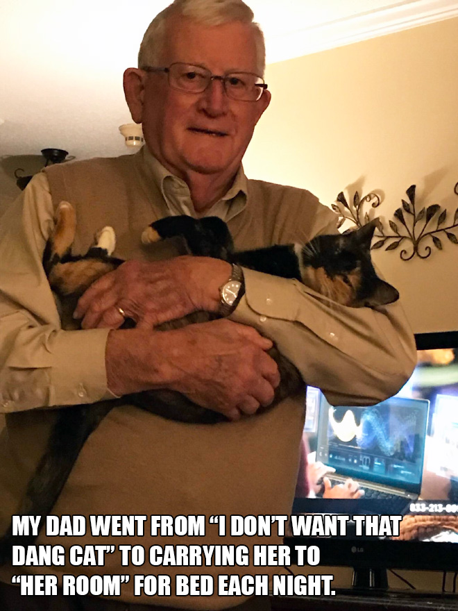 Dad vs. cat.