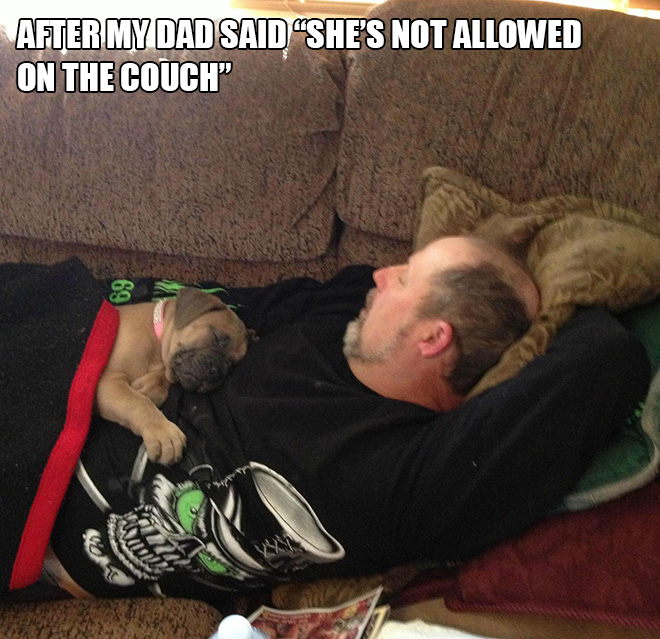 Dog vs. dad.