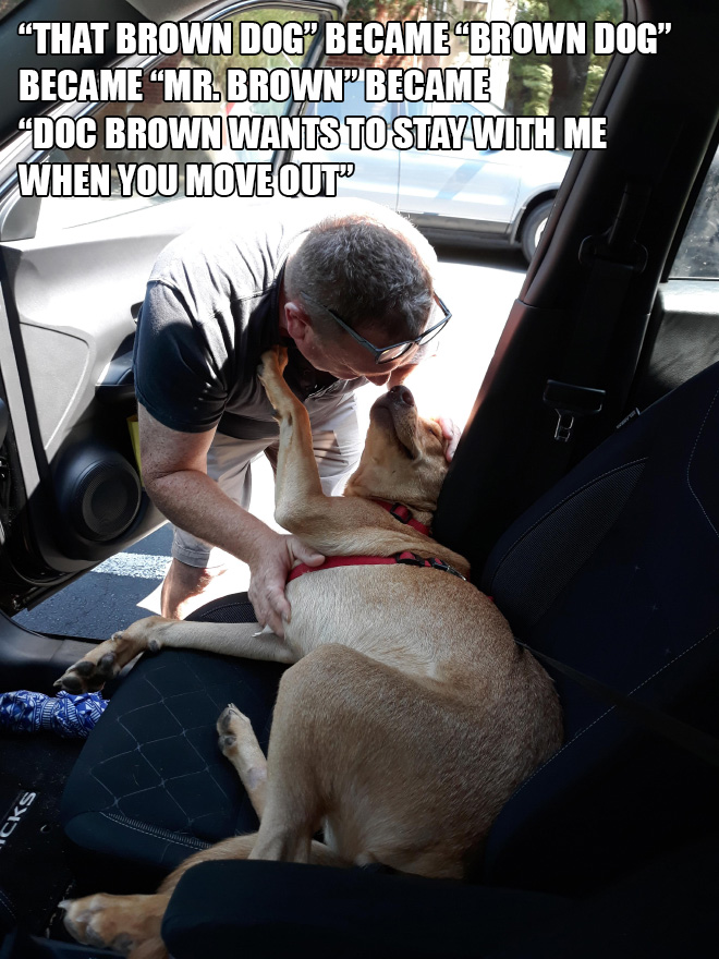 Dad vs. brown dog.