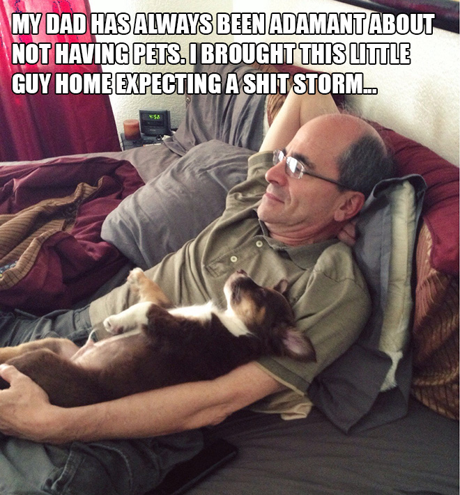 Dad vs. dog.