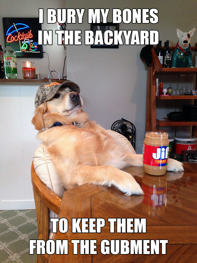 Redneck retriever.