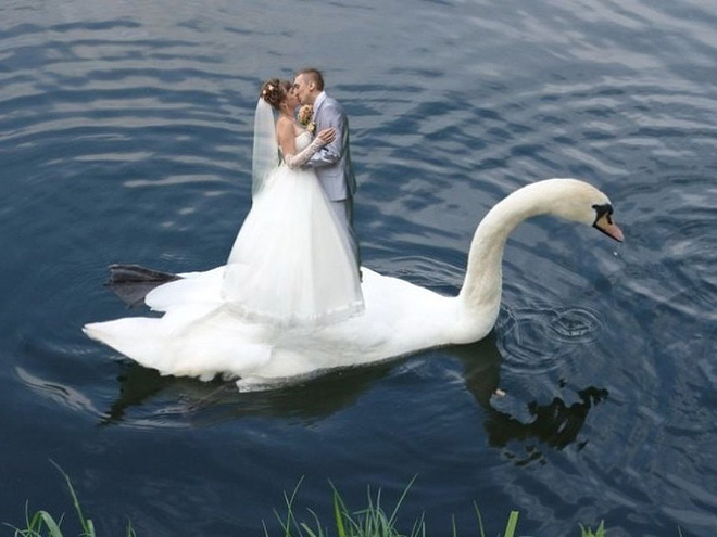 Awfully photoshopped Russian wedding pictures are awesome.