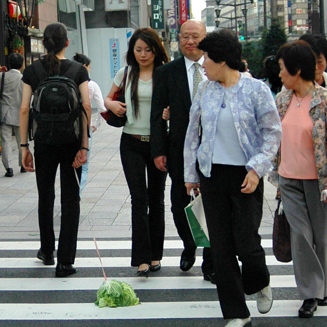 Vegans love to take their pets for a walk.