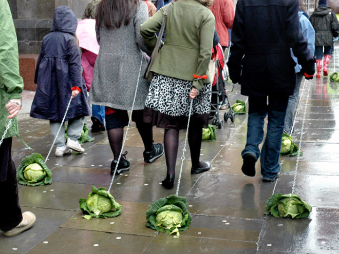 Vegans love to take their pets for a walk.