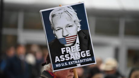 ‘It’s David v Goliath’: Assange’s partner launches CrowdJustice appeal to help stop WikiLeaks founder’s extradition to US