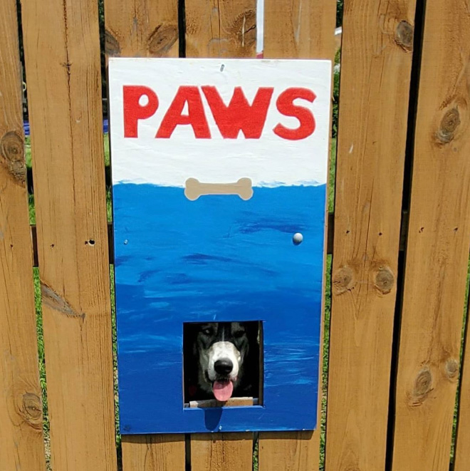 Funny fence dog window art.