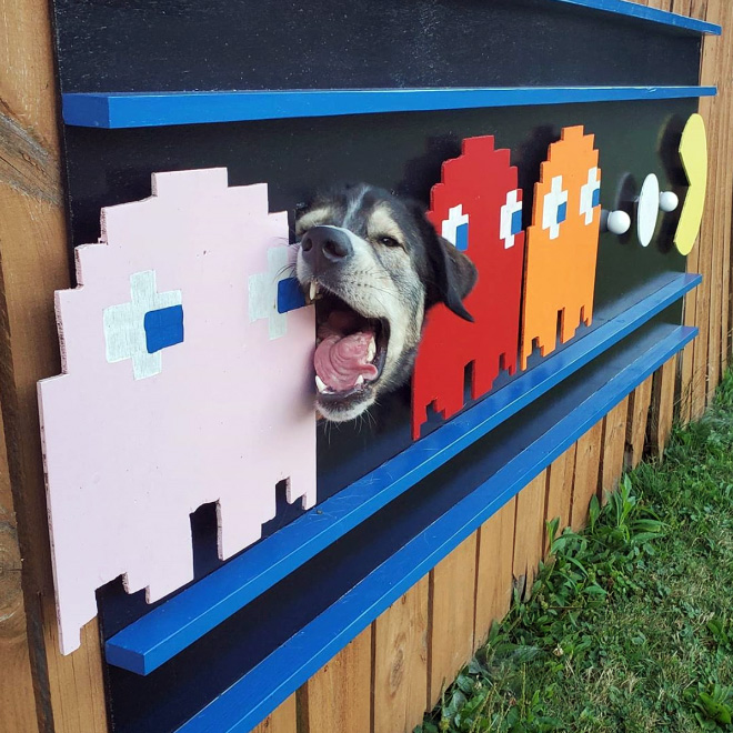 Funny fence dog window art.