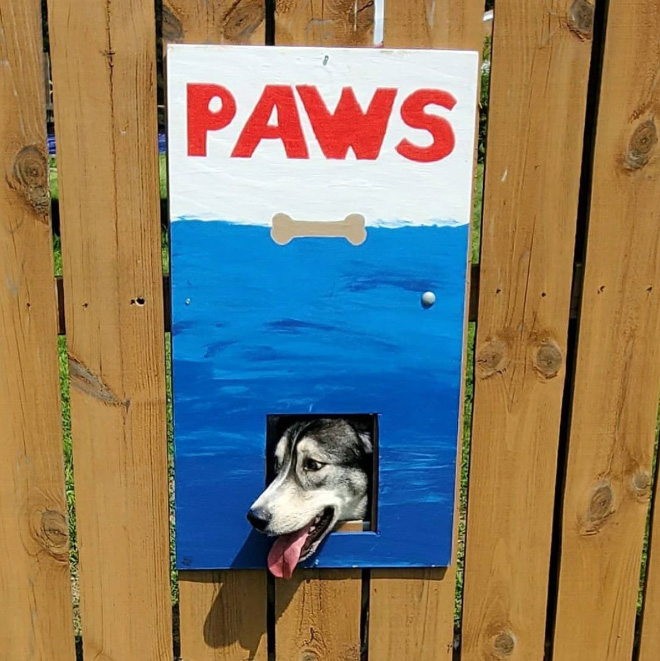 Funny fence dog window art.