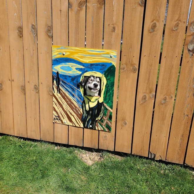 Funny fence dog window art.