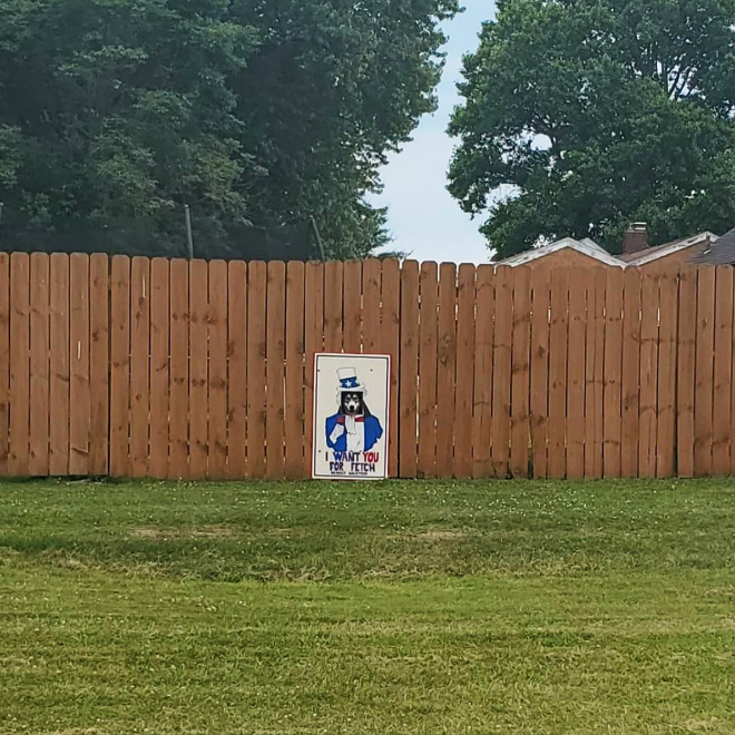 Funny fence dog window art.