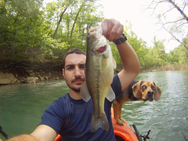 Funny dog photobomb.