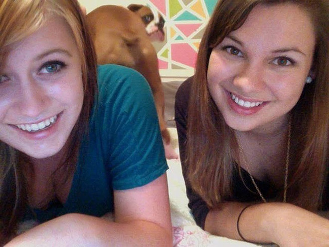 Funny dog photobomb.