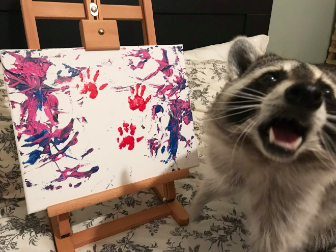 Raccoon painting.