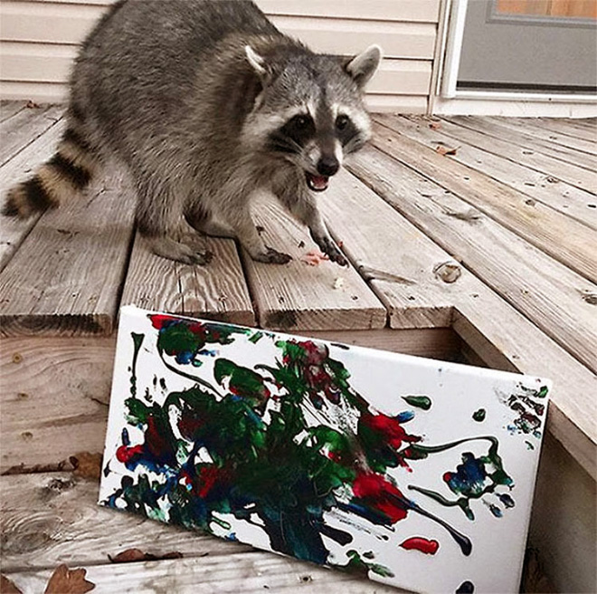 Raccoon painting.