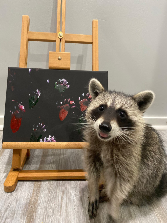 Raccoon painting.