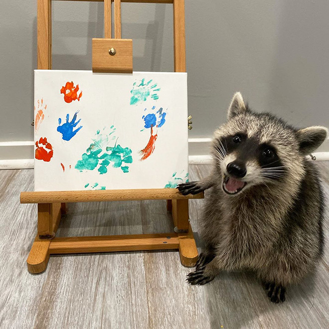 Raccoon painting.