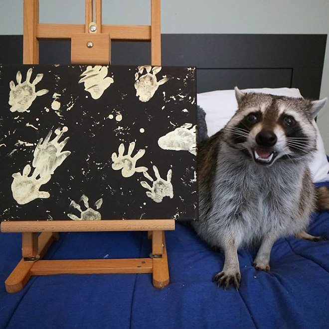 Raccoon painting.