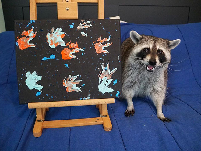 Raccoon painting.