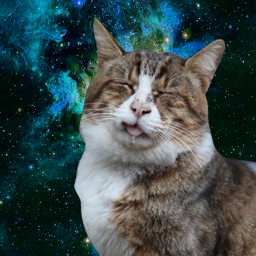 Drooling cat in space.