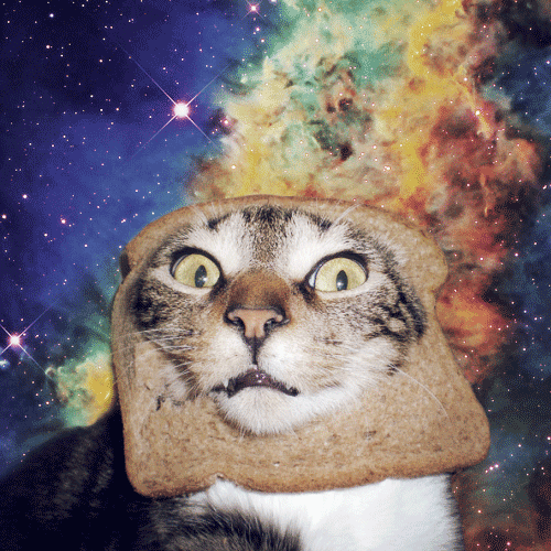Cat in bread in space.