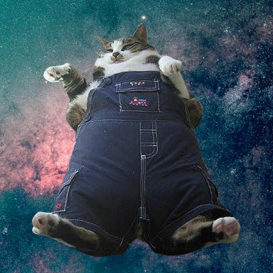 Fat cat in space.