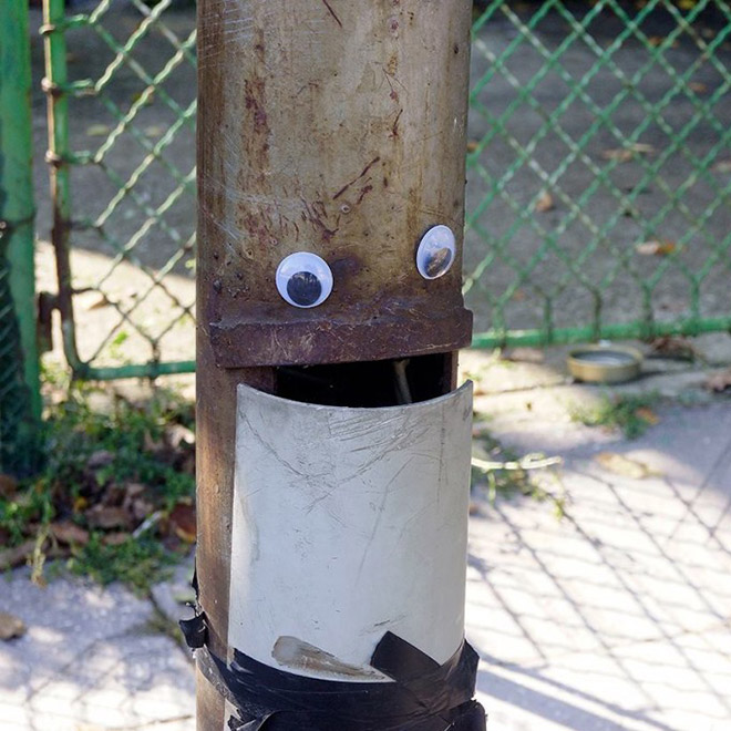 Everything is better with googly eyes.