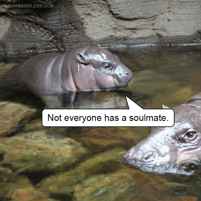 Not everyone has a soulmate.