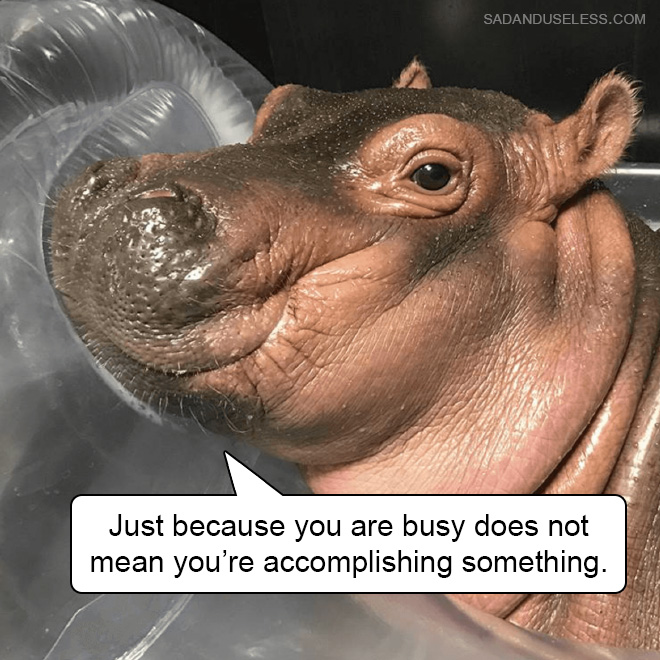 Just because you're busy doesn't mean you're accomplishing something.