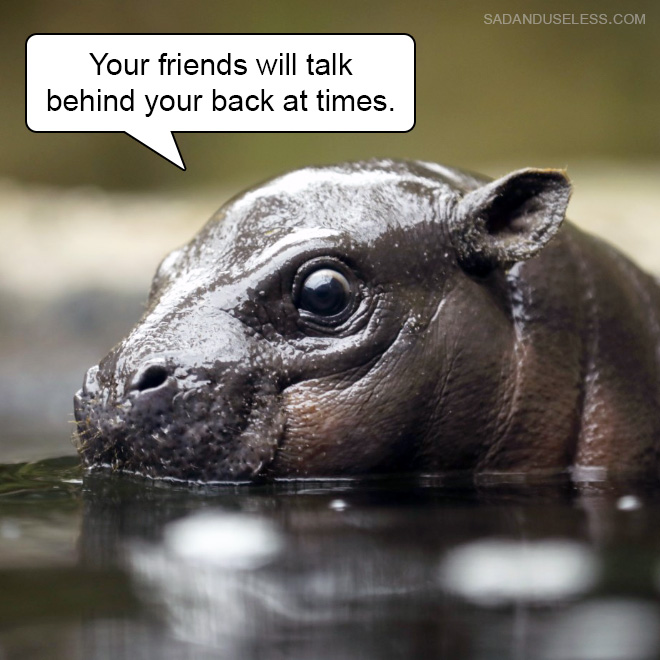 Your friends will talk behind your back at times.